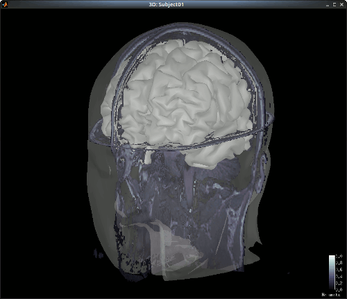 NIRSTORM_tut_nirs_tapping_new_MRI_meshes.gif