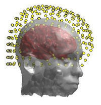 Brain Imaging & Connectivity