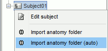 import_anat_auto.gif