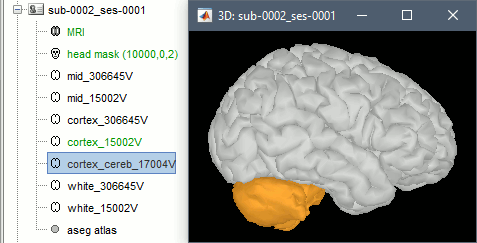 import_cerebellum.gif