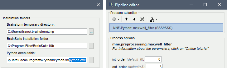 mne_python_maxwell.gif