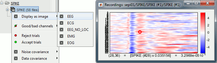 rasterplot.gif