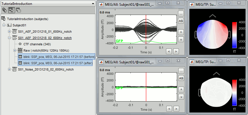 ssp_eog_average.gif