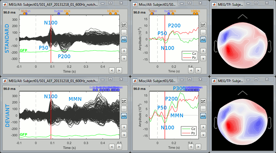 average_summary.gif