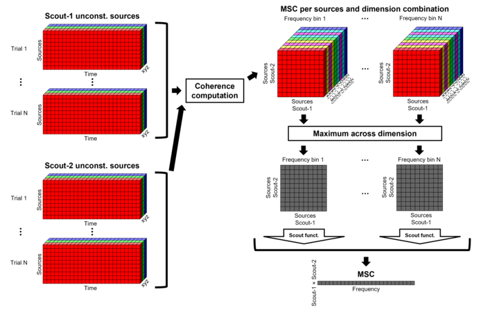 https://neuroimage.usc.edu/brainstorm/Tutorials/CorticomuscularCoherence?action=AttachFile&do=get&target=diagram_nxn_coh_sct_aft.png