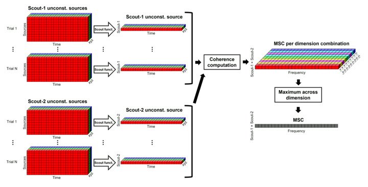 https://neuroimage.usc.edu/brainstorm/Tutorials/CorticomuscularCoherence?action=AttachFile&do=get&target=diagram_nxn_coh_sct_bef.png