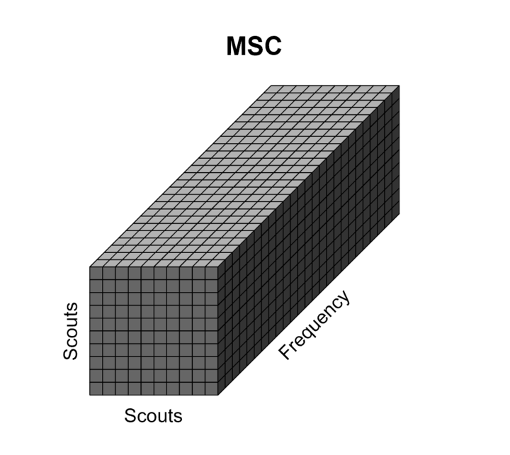 diagram_nxn_coh_sct_end_small.gif