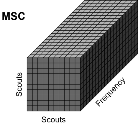 diagram_nxn_coh_sct_end_small2.gif