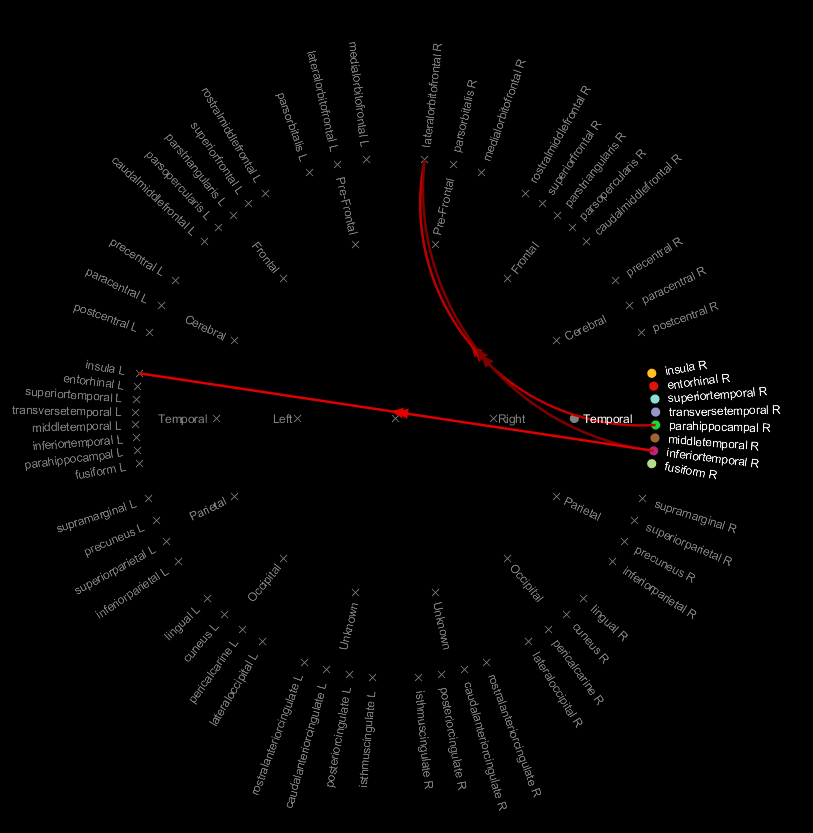 temporal_lobe_selection.PNG