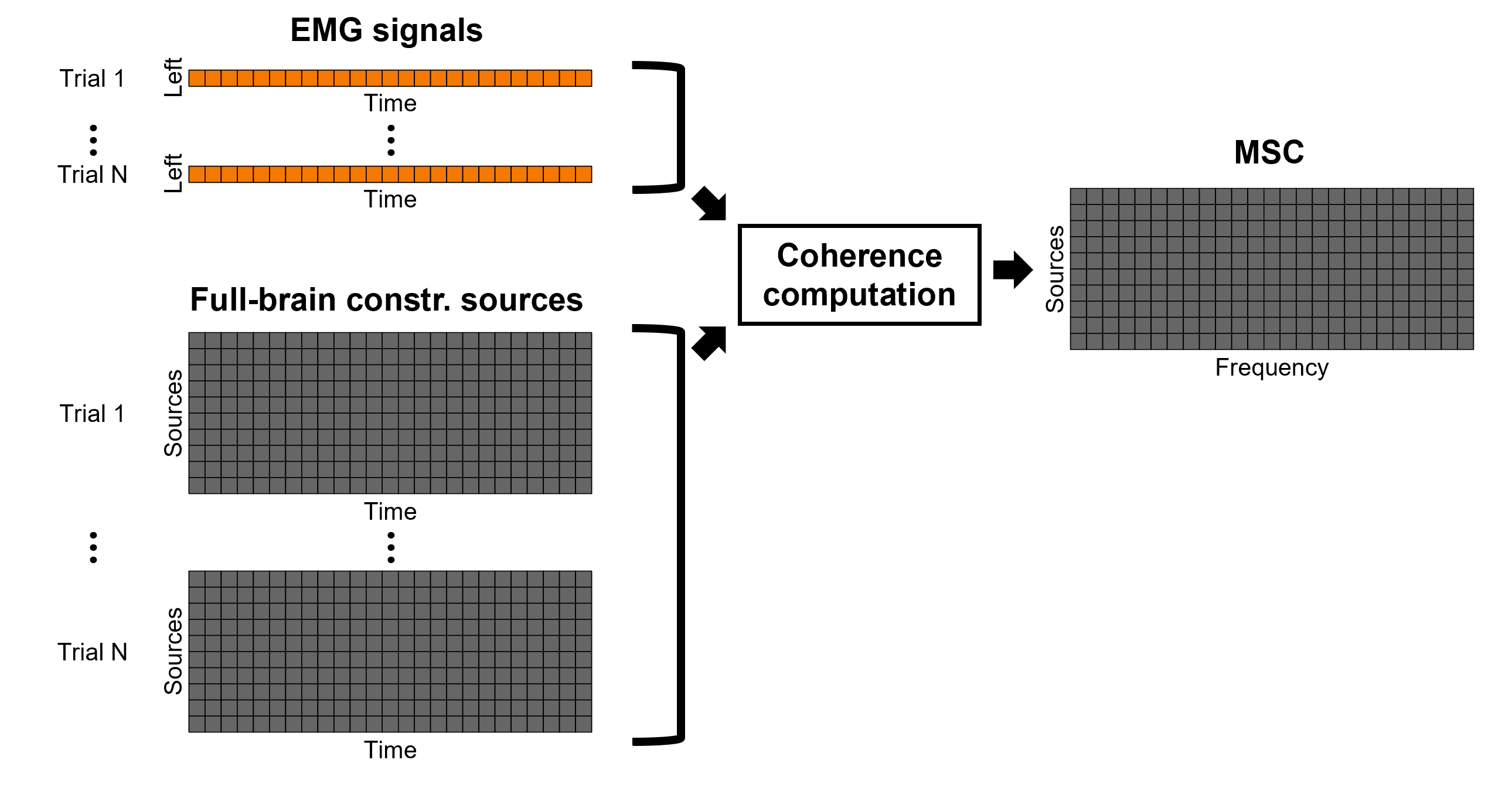 https://neuroimage.usc.edu/brainstorm/Tutorials/CorticomuscularCoherence?action=AttachFile&do=get&target=diagram_1xn_coh_constr.png
