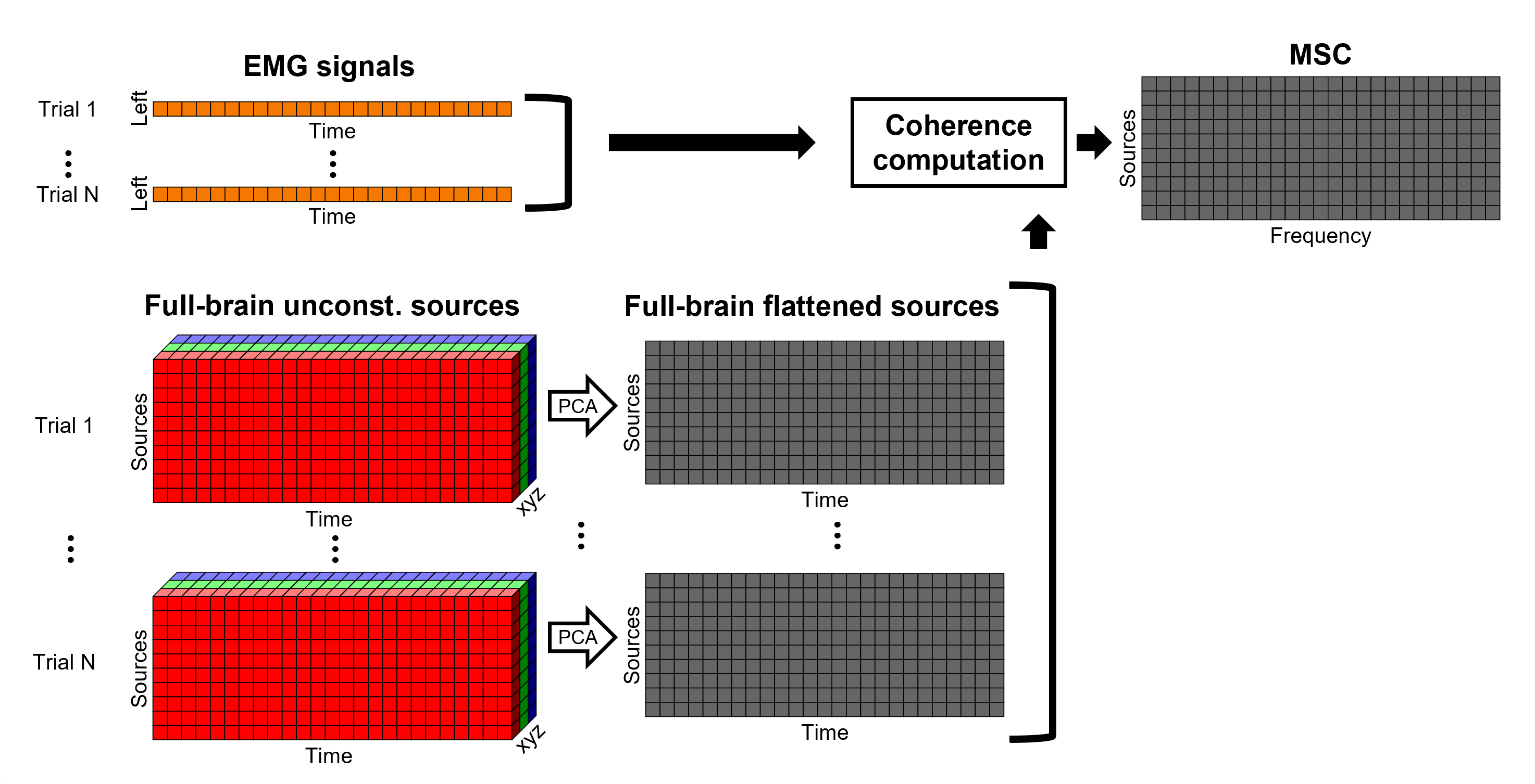 https://neuroimage.usc.edu/brainstorm/Tutorials/CorticomuscularCoherence?action=AttachFile&do=get&target=diagram_1xn_coh_flattened.png