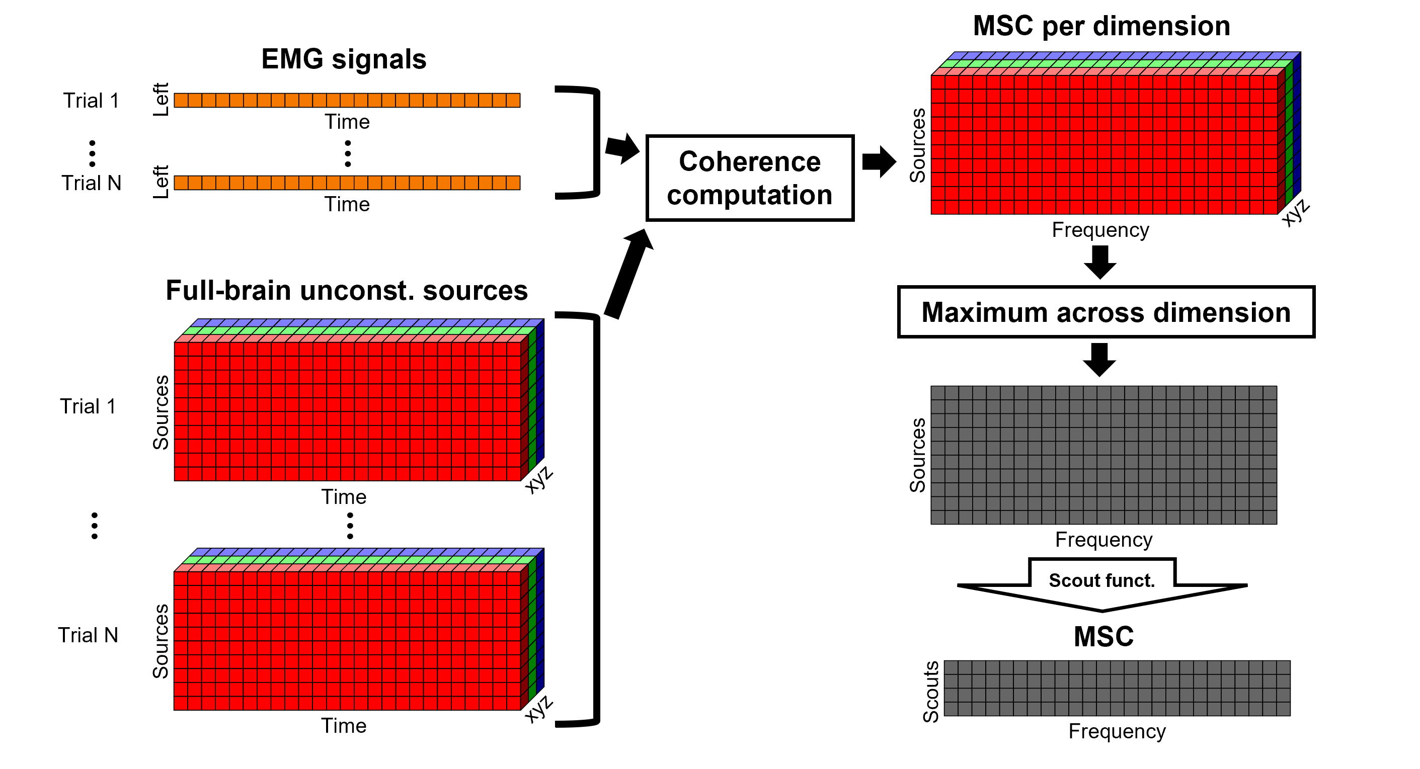 https://neuroimage.usc.edu/brainstorm/Tutorials/CorticomuscularCoherence?action=AttachFile&do=get&target=diagram_1xn_coh_sct_aft.png