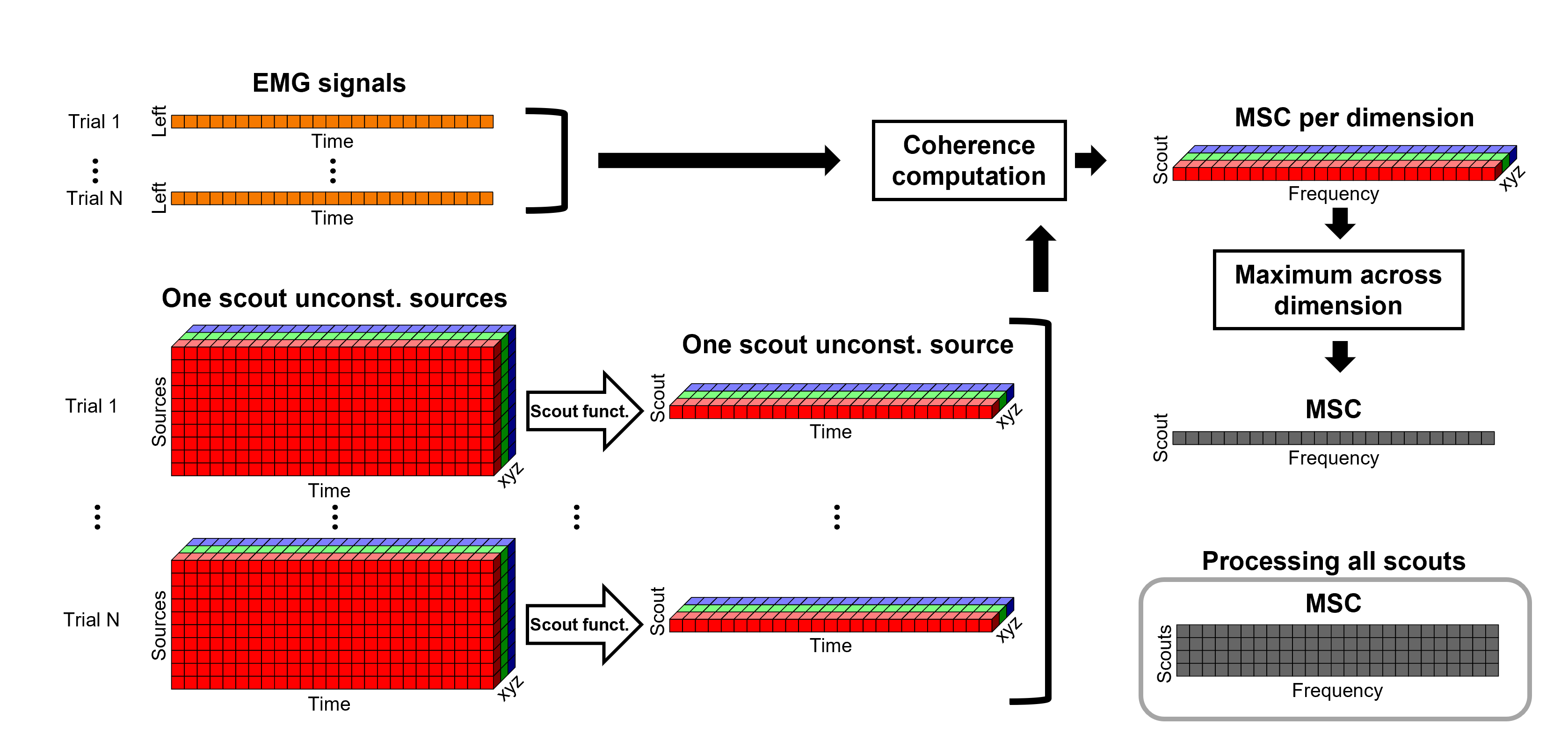https://neuroimage.usc.edu/brainstorm/Tutorials/CorticomuscularCoherence?action=AttachFile&do=get&target=diagram_1xn_coh_sct_bef.png