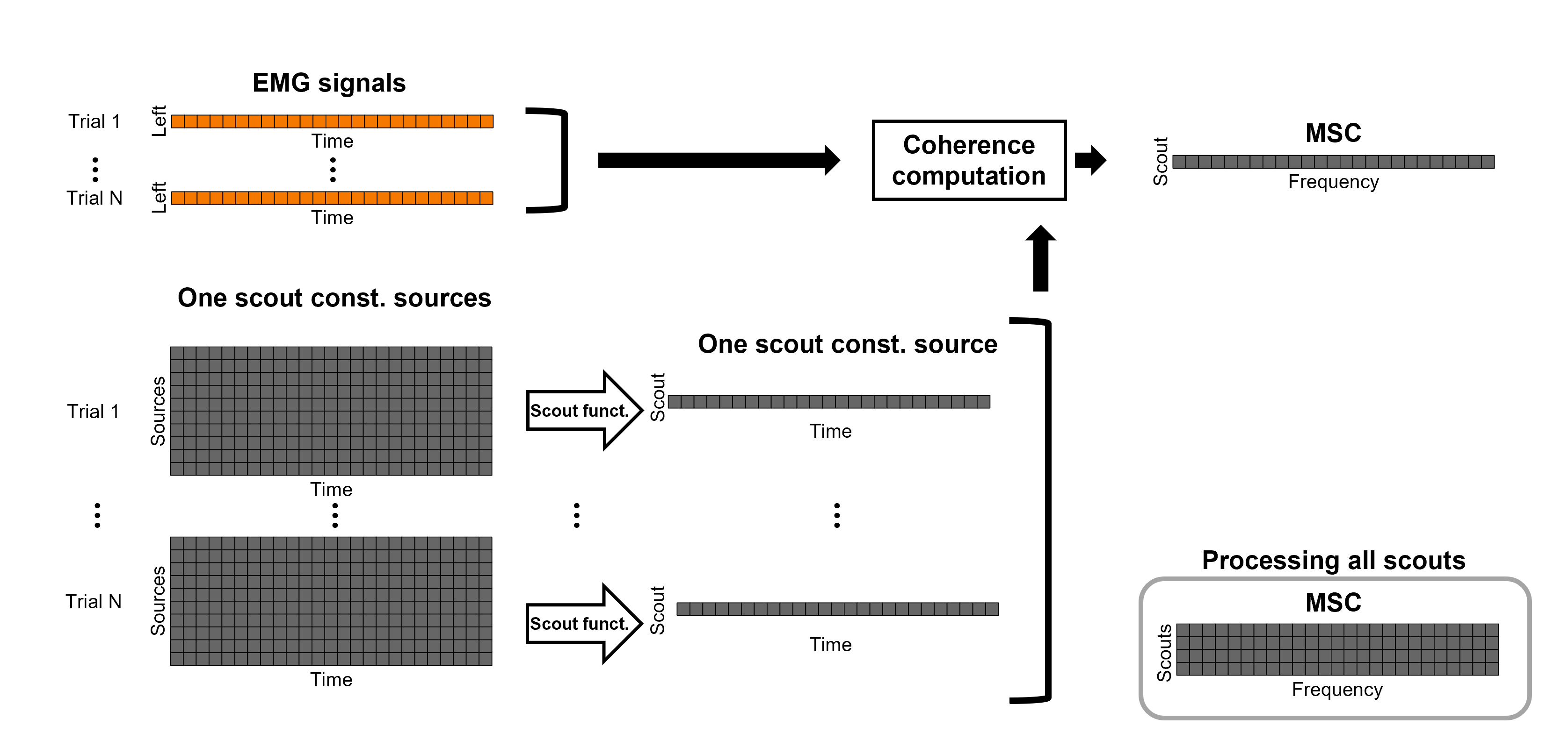 https://neuroimage.usc.edu/brainstorm/Tutorials/CorticomuscularCoherence?action=AttachFile&do=get&target=diagram_1xn_coh_sct_bef_c.png