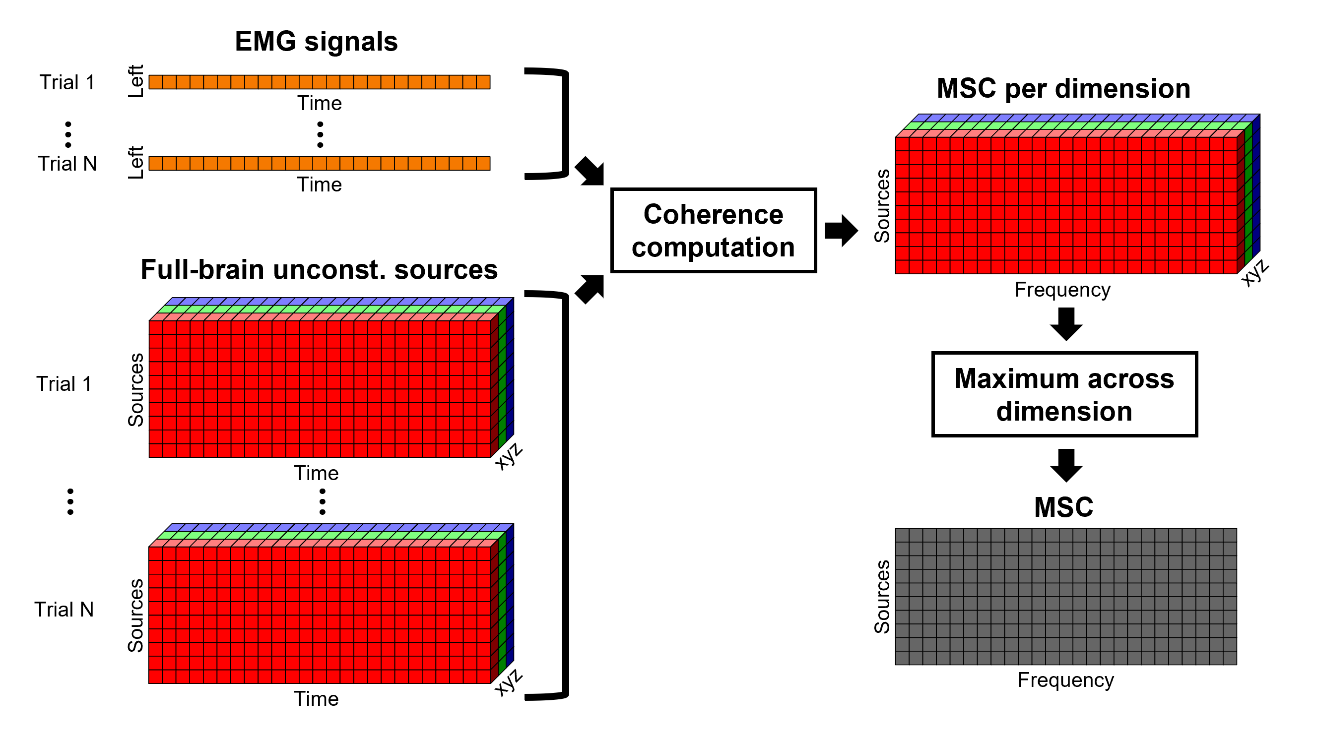 https://neuroimage.usc.edu/brainstorm/Tutorials/CorticomuscularCoherence?action=AttachFile&do=get&target=diagram_1xn_coh_unconstr.png