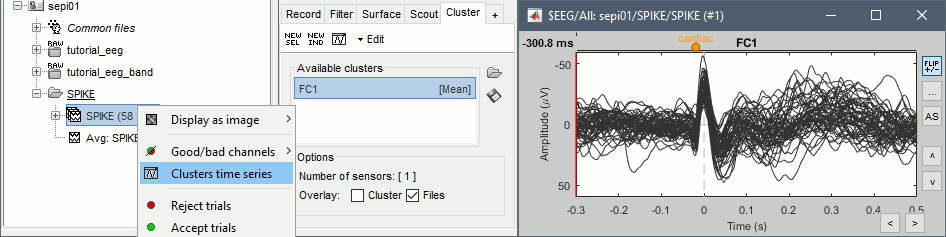 fc1_cluster.gif