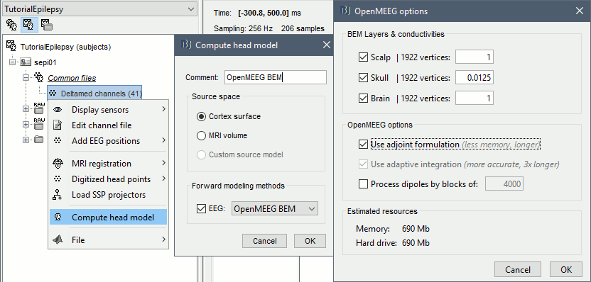 headmodel1.gif