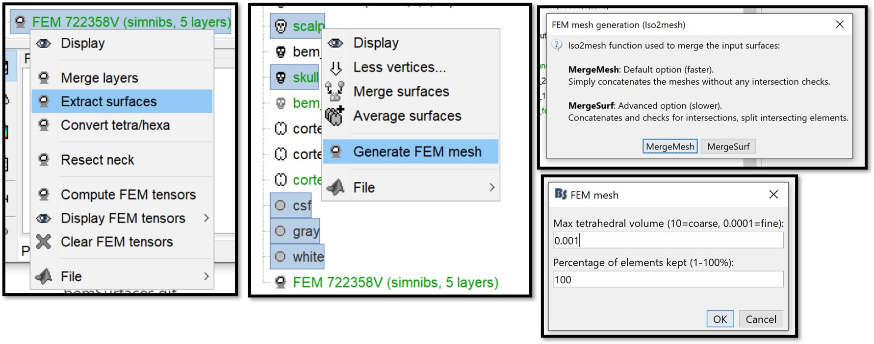 remeshHeadIso2mesh.jpg