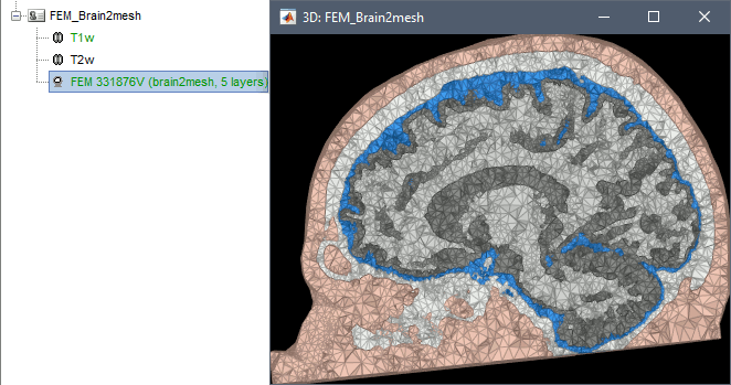 brain2meshMesh.gif