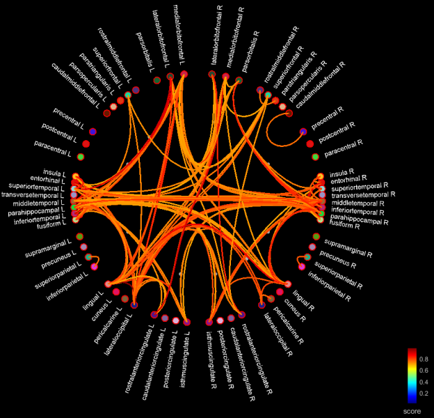 connect_fibers_graph.png