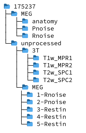 tree_hcp_download.png