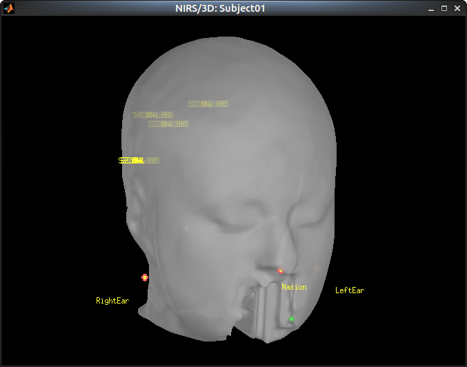 NIRSTORM_tut1_display_sensors_fiducials.png