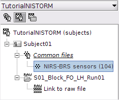 NIRSTORM_tut1_func_organization.png