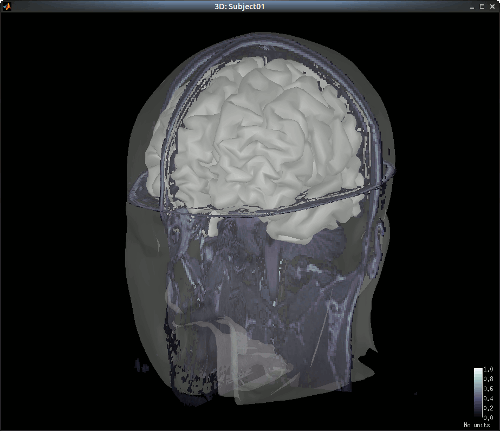 NIRSTORM_tut1_new_MRI_meshes.gif