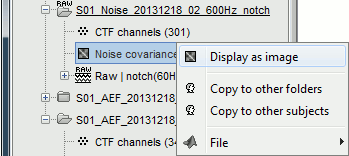 noisecov_file.gif