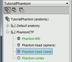 phantom_anat.gif