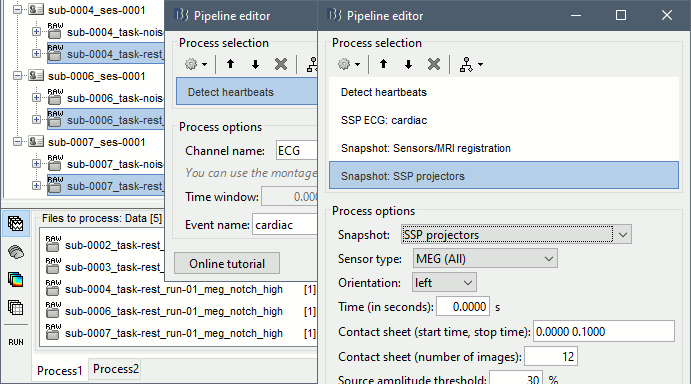 ssp_process.gif