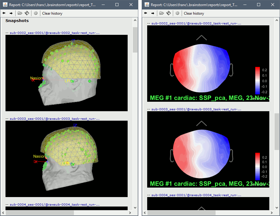 ssp_report.gif