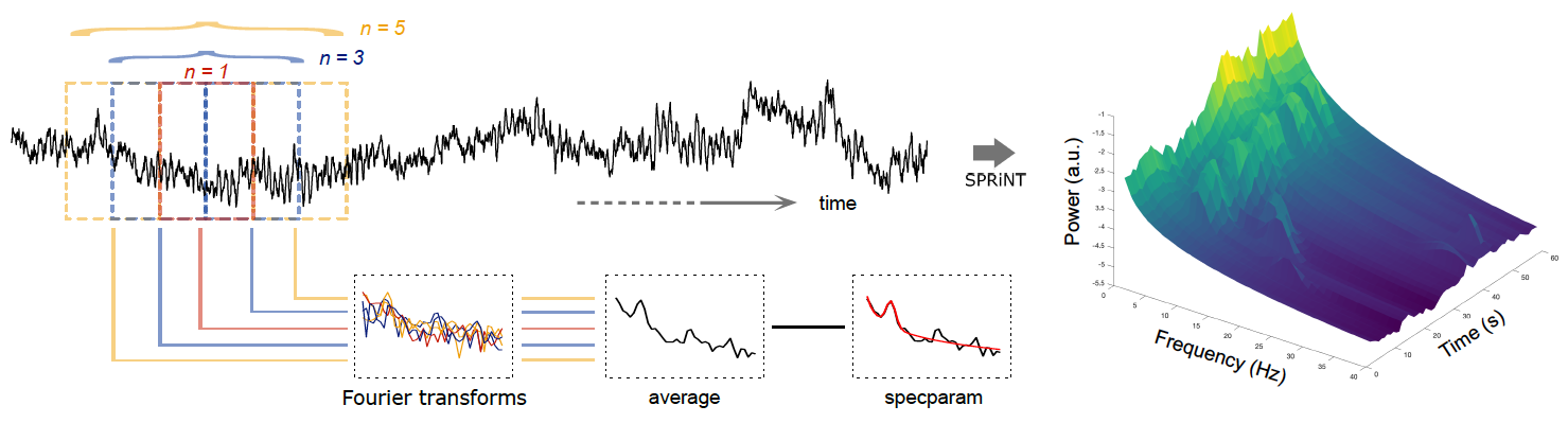 SPRiNT_schematic.png