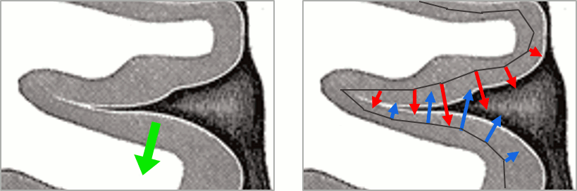 minnorm_sketch.gif