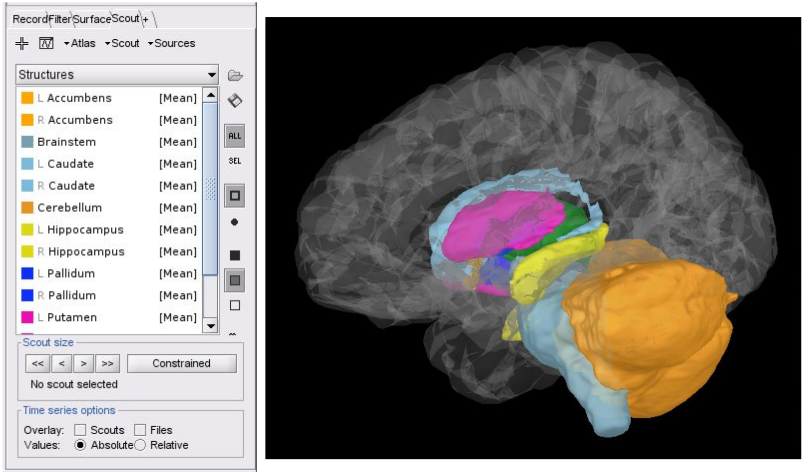 brainsuite_subcortical_brainstorm.png