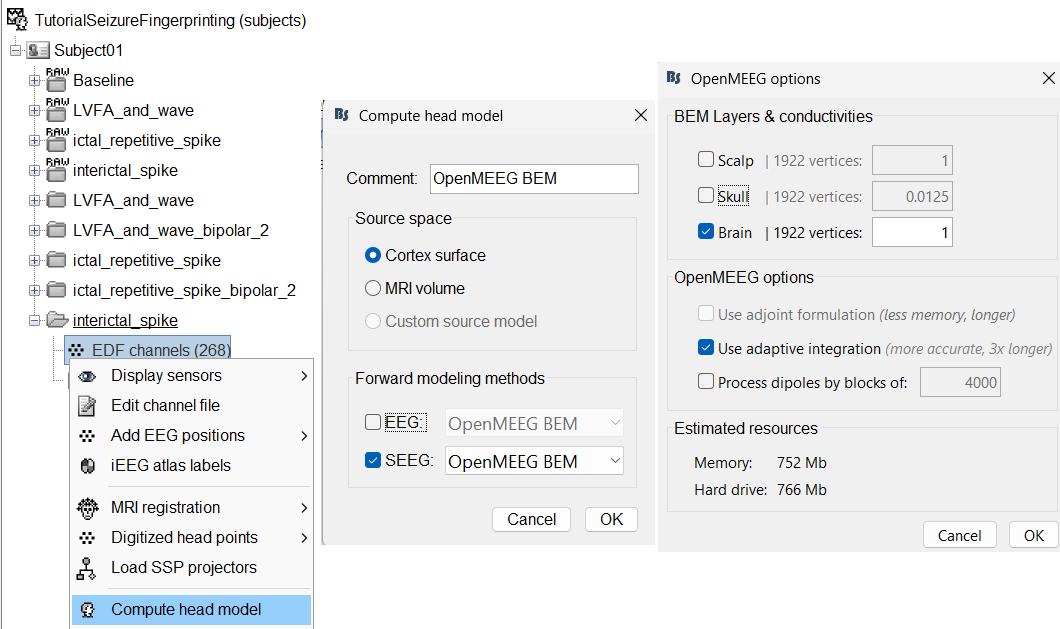 58_headmodeller_openmeeg.png