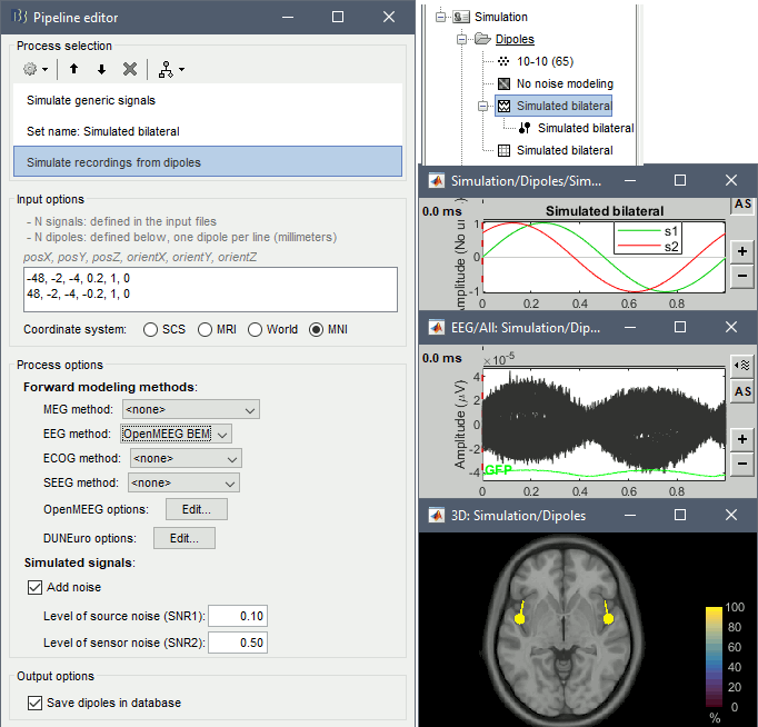 simdip_process.gif