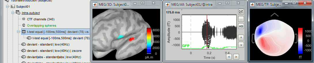 simulate_display.gif