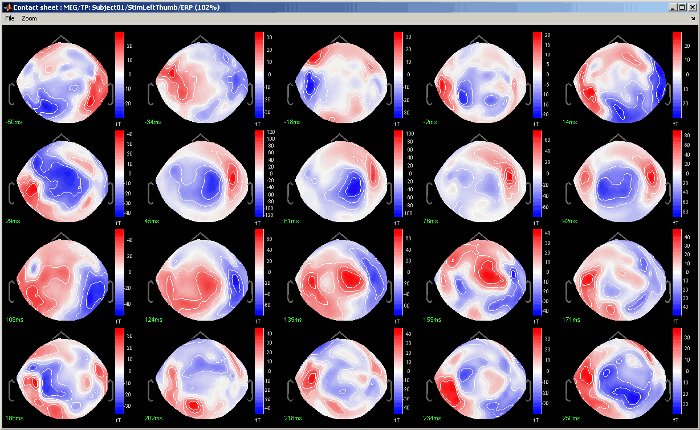 contactSheet.gif