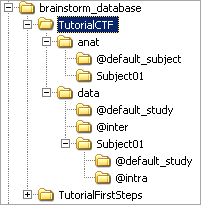 protocolFolders.gif