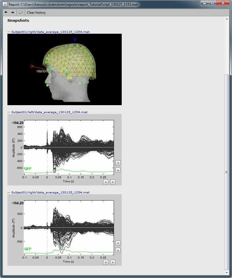 report2.gif