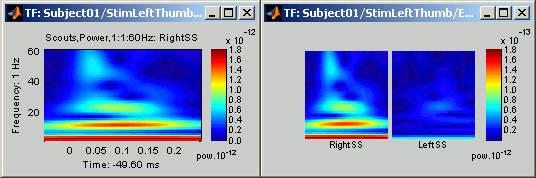 scoutsTfDisplay.gif