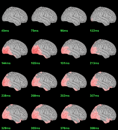 sources_diffmean_eeg_right.gif