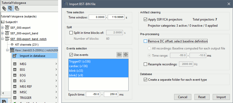 import_options.gif