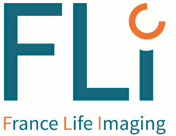 logoFLI.gif