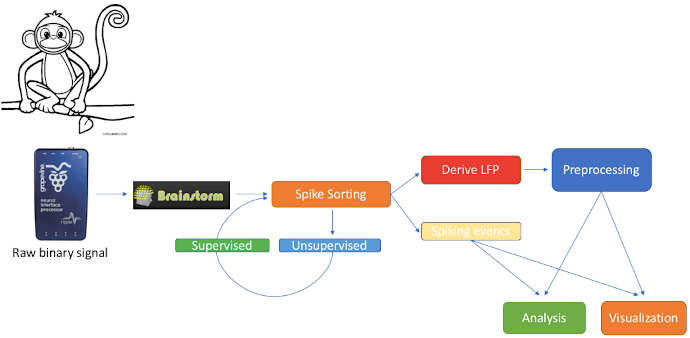 ephys_intro.png