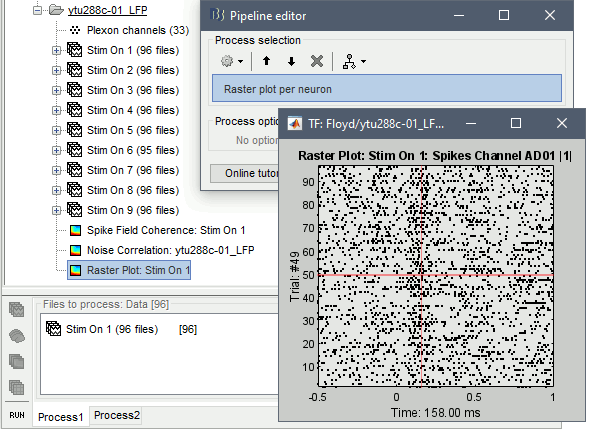 RPNeuronWindow.gif