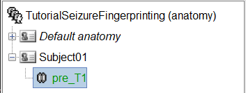2_import_pre_T1.png