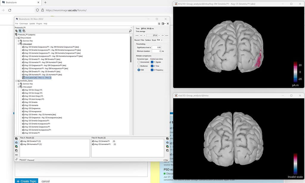 Invalid scale neuralsource - Discussions - Brainstorm