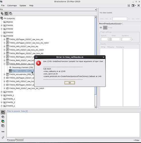 Matlab_Brainstorm%20Error